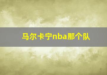 马尔卡宁nba那个队