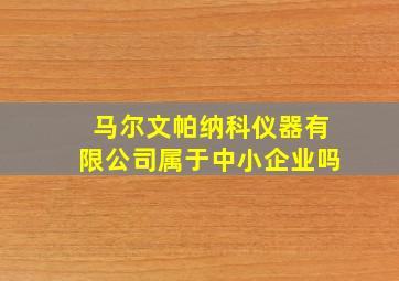 马尔文帕纳科仪器有限公司属于中小企业吗