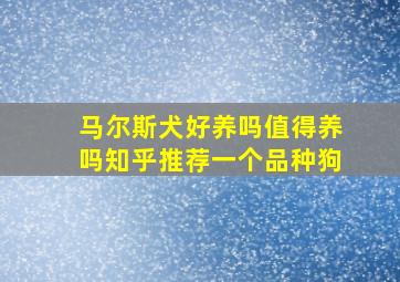 马尔斯犬好养吗值得养吗知乎推荐一个品种狗