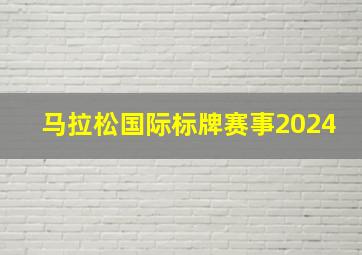 马拉松国际标牌赛事2024