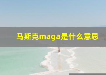 马斯克maga是什么意思