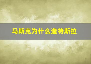 马斯克为什么造特斯拉