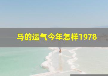 马的运气今年怎样1978