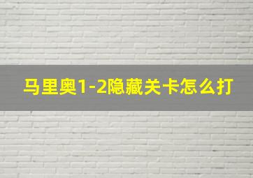 马里奥1-2隐藏关卡怎么打