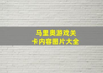 马里奥游戏关卡内容图片大全