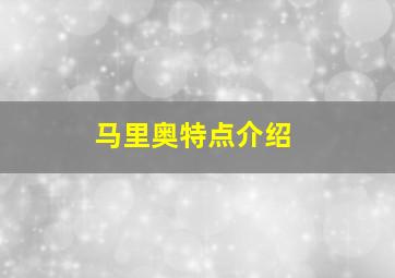 马里奥特点介绍