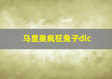 马里奥疯狂兔子dlc