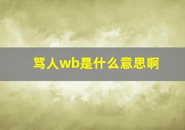 骂人wb是什么意思啊