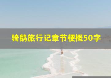 骑鹅旅行记章节梗概50字