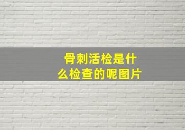 骨刺活检是什么检查的呢图片