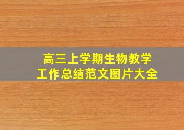 高三上学期生物教学工作总结范文图片大全