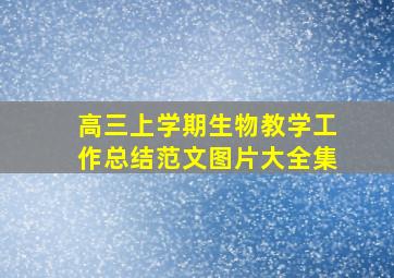 高三上学期生物教学工作总结范文图片大全集