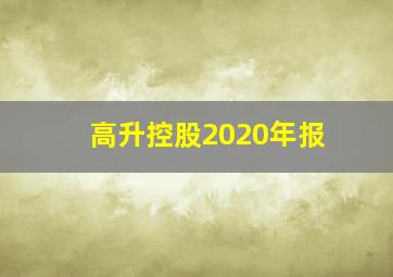 高升控股2020年报