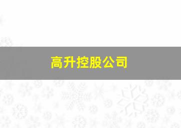 高升控股公司