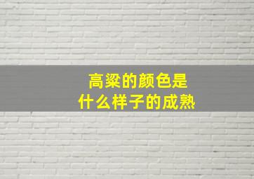 高粱的颜色是什么样子的成熟