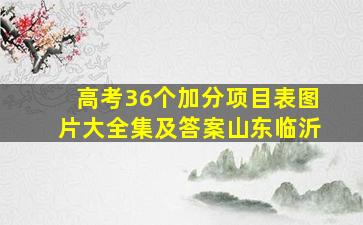 高考36个加分项目表图片大全集及答案山东临沂