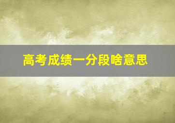 高考成绩一分段啥意思