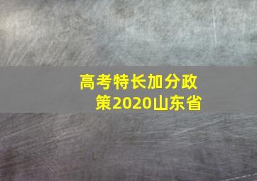 高考特长加分政策2020山东省