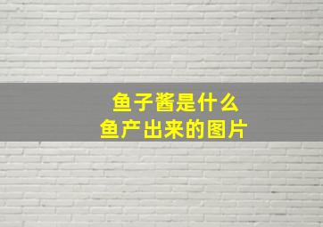 鱼子酱是什么鱼产出来的图片