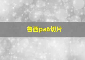 鲁西pa6切片