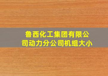 鲁西化工集团有限公司动力分公司机组大小