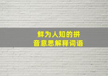 鲜为人知的拼音意思解释词语