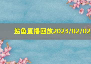 鲨鱼直播回放2023/02/02