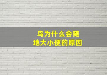 鸟为什么会随地大小便的原因