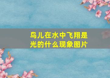 鸟儿在水中飞翔是光的什么现象图片