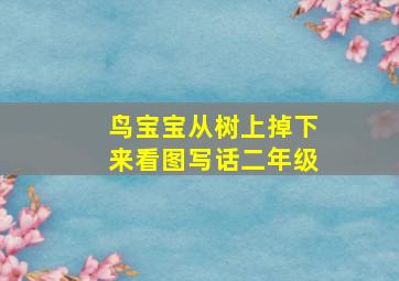 鸟宝宝从树上掉下来看图写话二年级