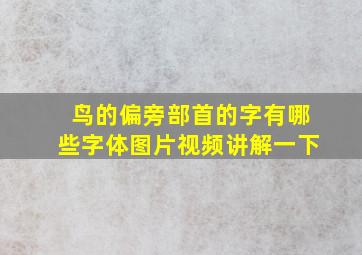 鸟的偏旁部首的字有哪些字体图片视频讲解一下