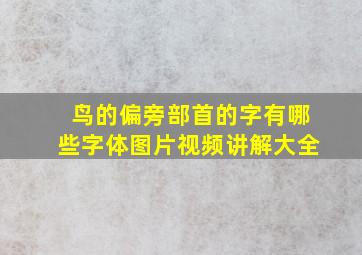 鸟的偏旁部首的字有哪些字体图片视频讲解大全