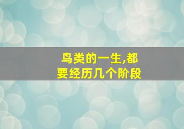 鸟类的一生,都要经历几个阶段