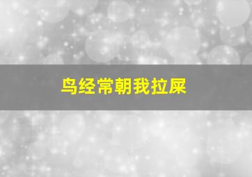 鸟经常朝我拉屎