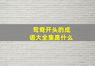 鸳鸯开头的成语大全集是什么