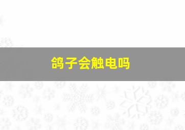 鸽子会触电吗