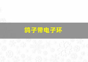 鸽子带电子环