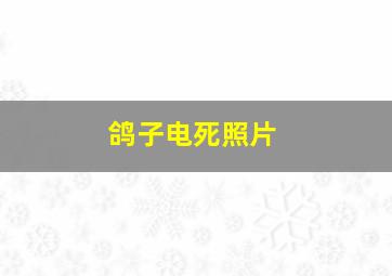 鸽子电死照片