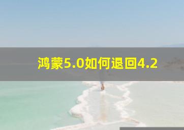 鸿蒙5.0如何退回4.2