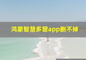 鸿蒙智慧多窗app删不掉