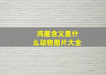 鸿雁含义是什么动物图片大全