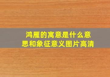 鸿雁的寓意是什么意思和象征意义图片高清