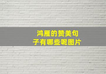 鸿雁的赞美句子有哪些呢图片