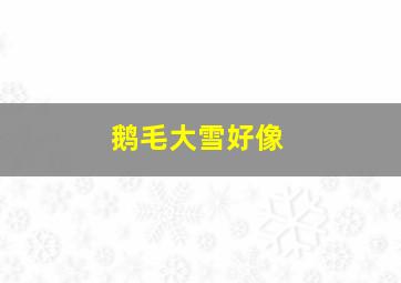 鹅毛大雪好像