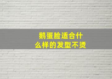 鹅蛋脸适合什么样的发型不烫