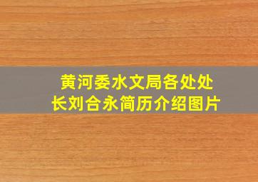 黄河委水文局各处处长刘合永简历介绍图片