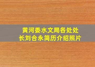 黄河委水文局各处处长刘合永简历介绍照片