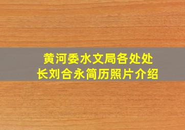 黄河委水文局各处处长刘合永简历照片介绍