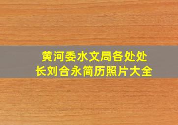 黄河委水文局各处处长刘合永简历照片大全