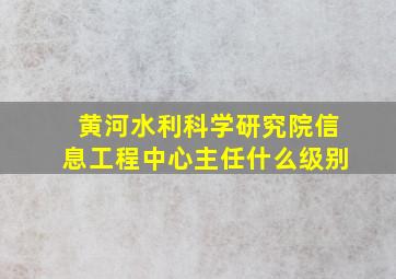 黄河水利科学研究院信息工程中心主任什么级别